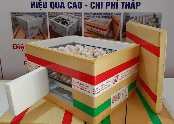 Cách chọn trứng phù hợp để ấp trong máy ấp trứng